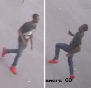 Images courtesy of the NYPD