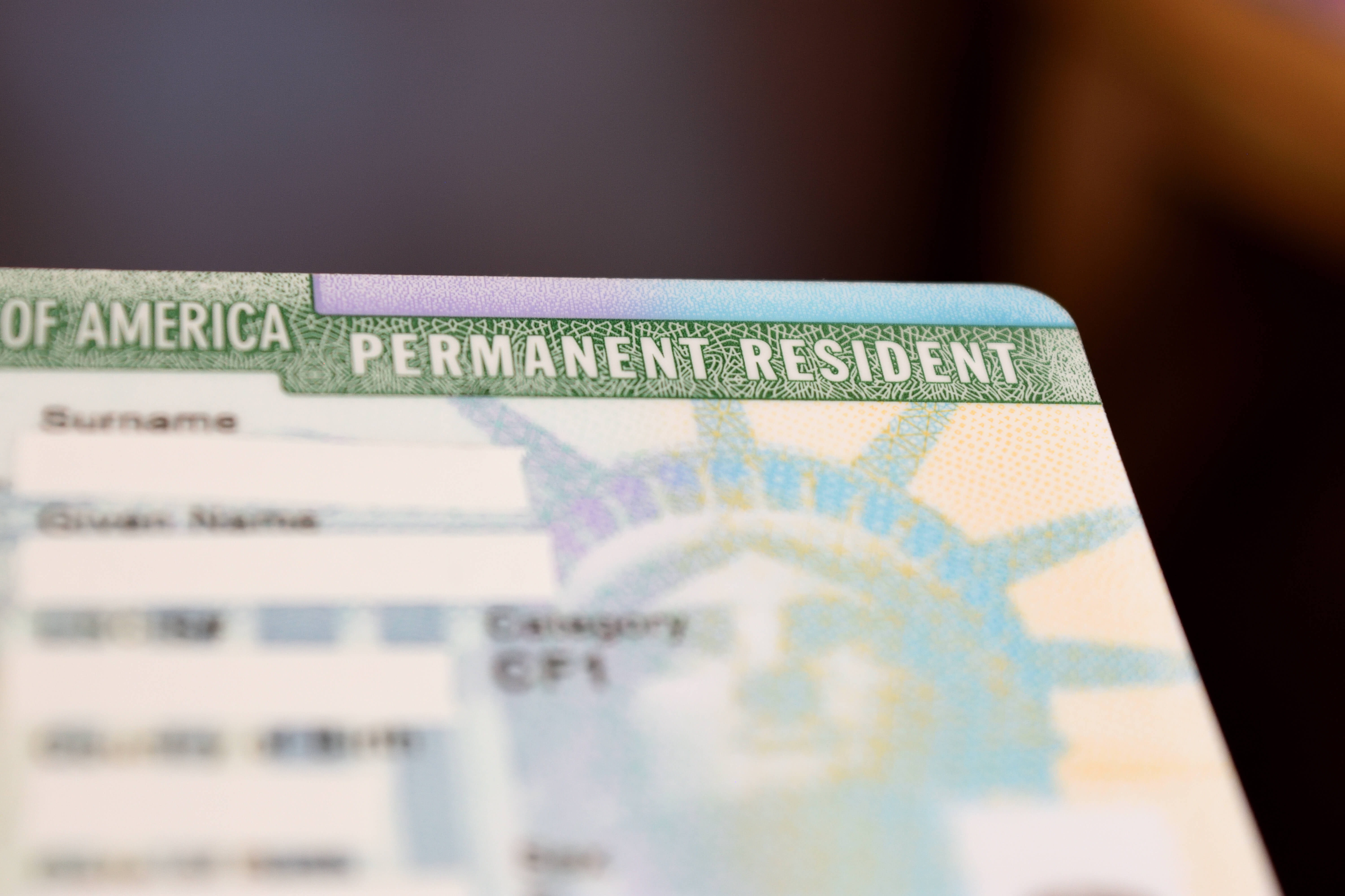 Meneses Law Secures Permanent Residency for 17 Clients