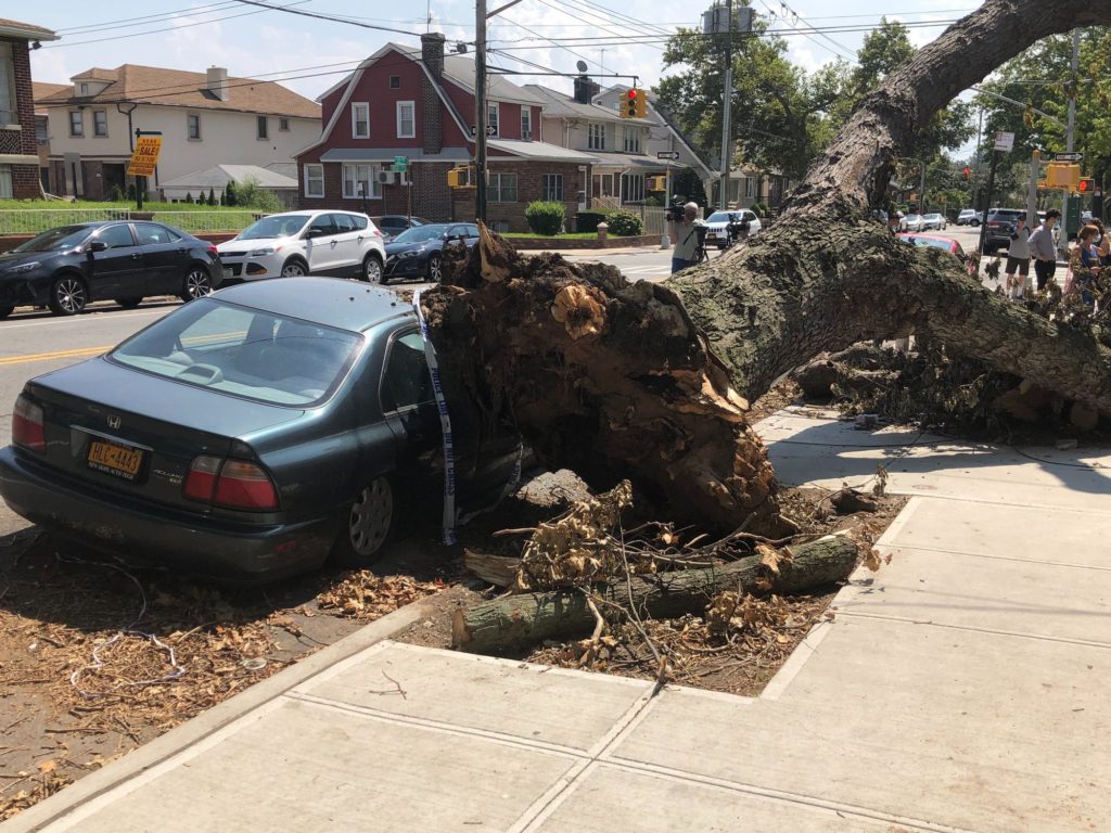 Pols call for improvement in storm relief