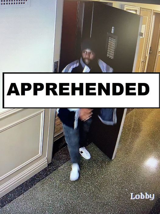 Reports say suspect in attempted rape of 85-year-old woman has previous arrest record