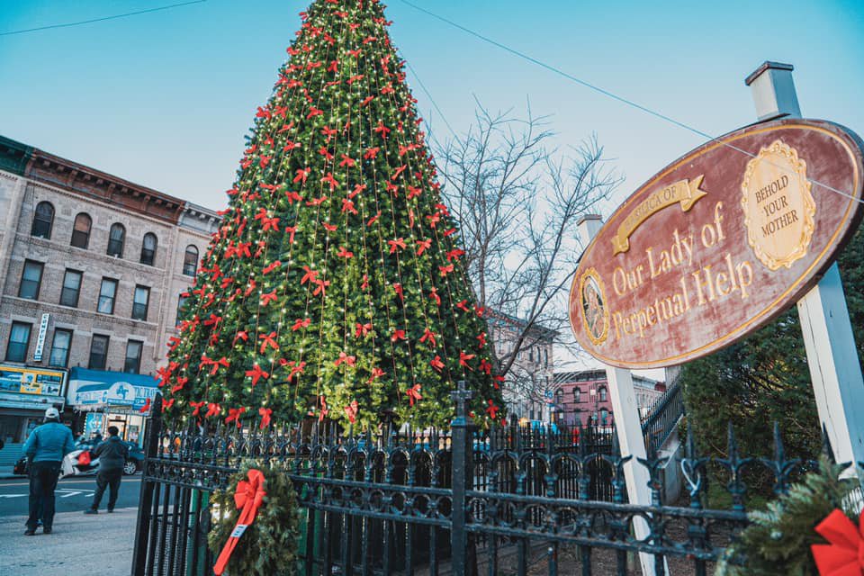 BID lights up tree outside OLPH