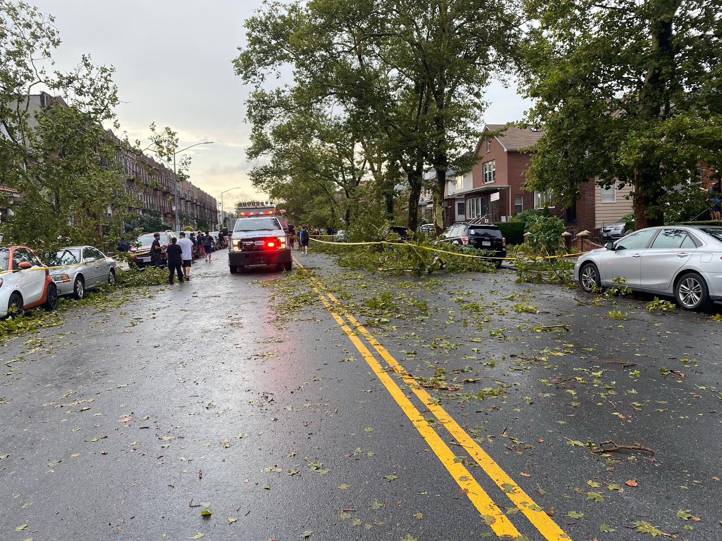 Wild storm downs 50 borough trees - The Brooklyn Home Reporter