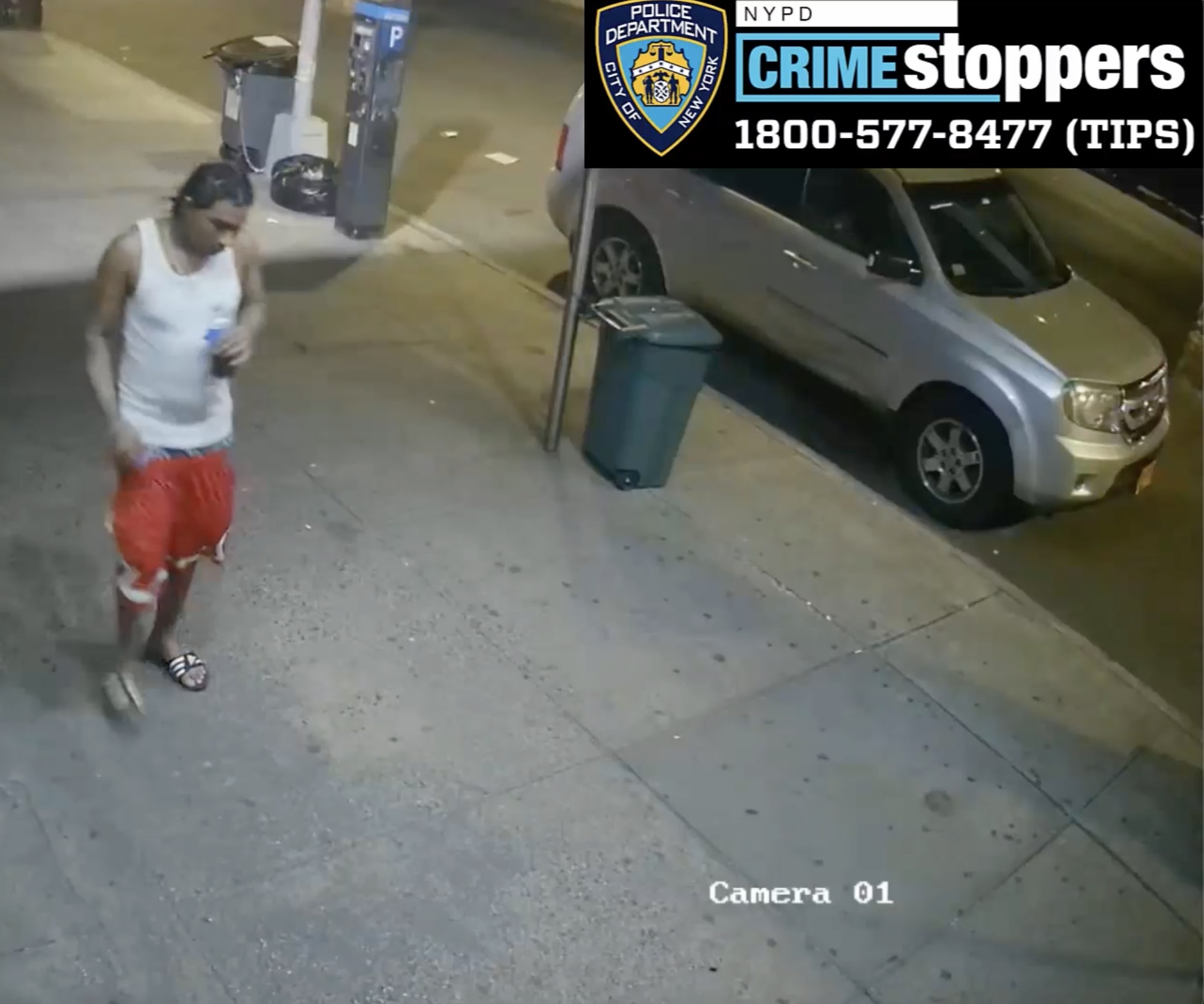 Duo sought for crime spree on wheels - The Brooklyn Home Reporter