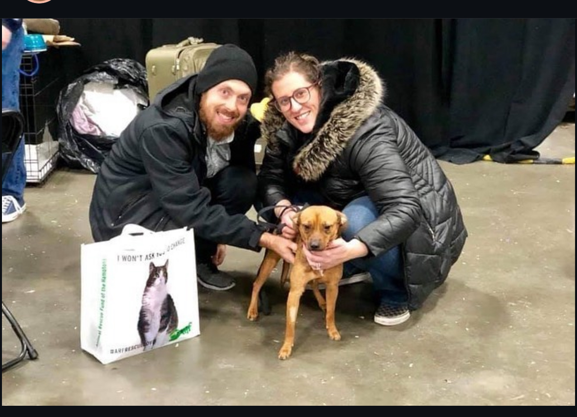 Bay Ridge dog becomes a celebrity on the internet - The Brooklyn Home ...