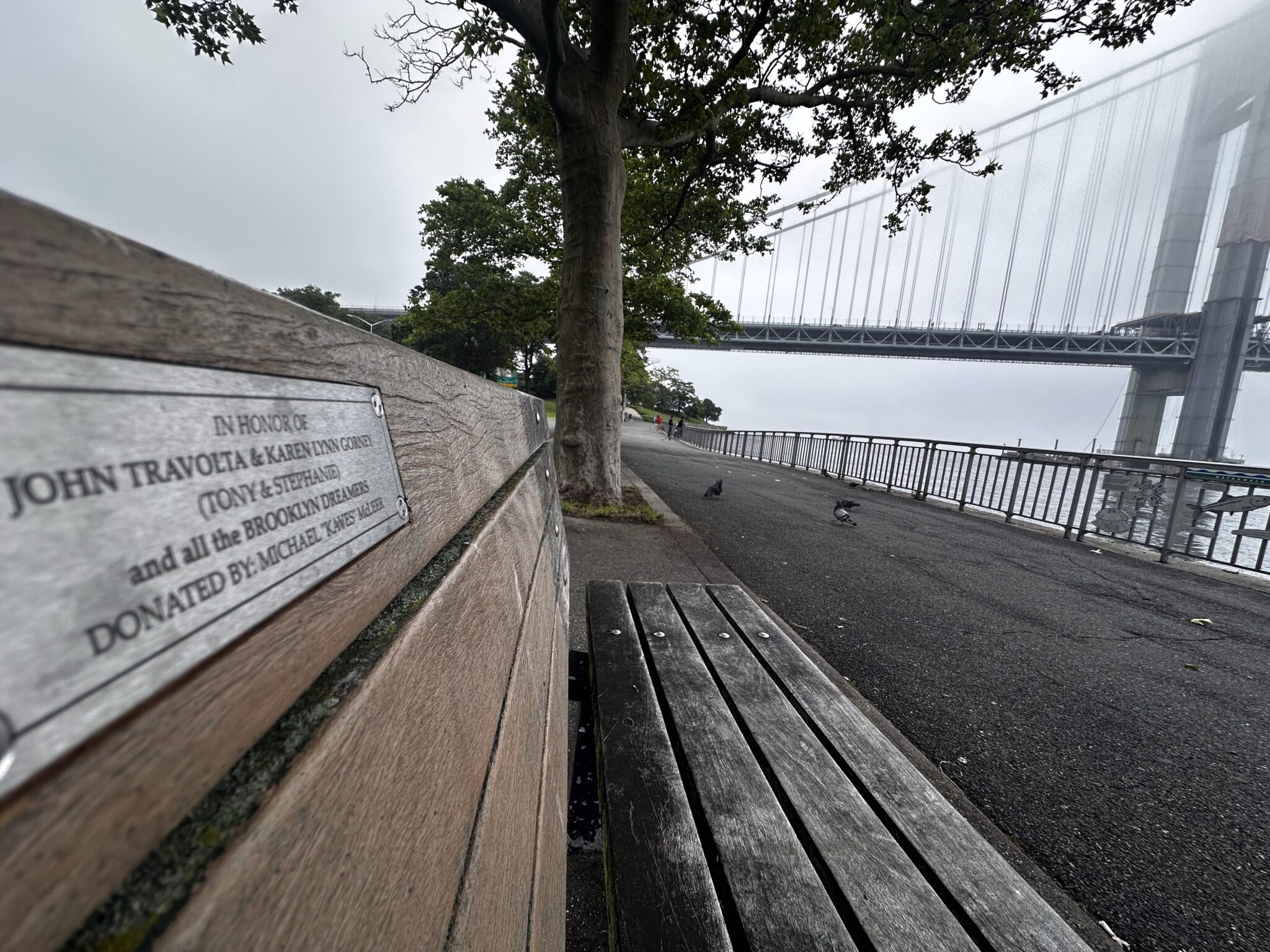 Bay Ridge Channel Shore Road Park bench receives plaque to commemorate scene from ...