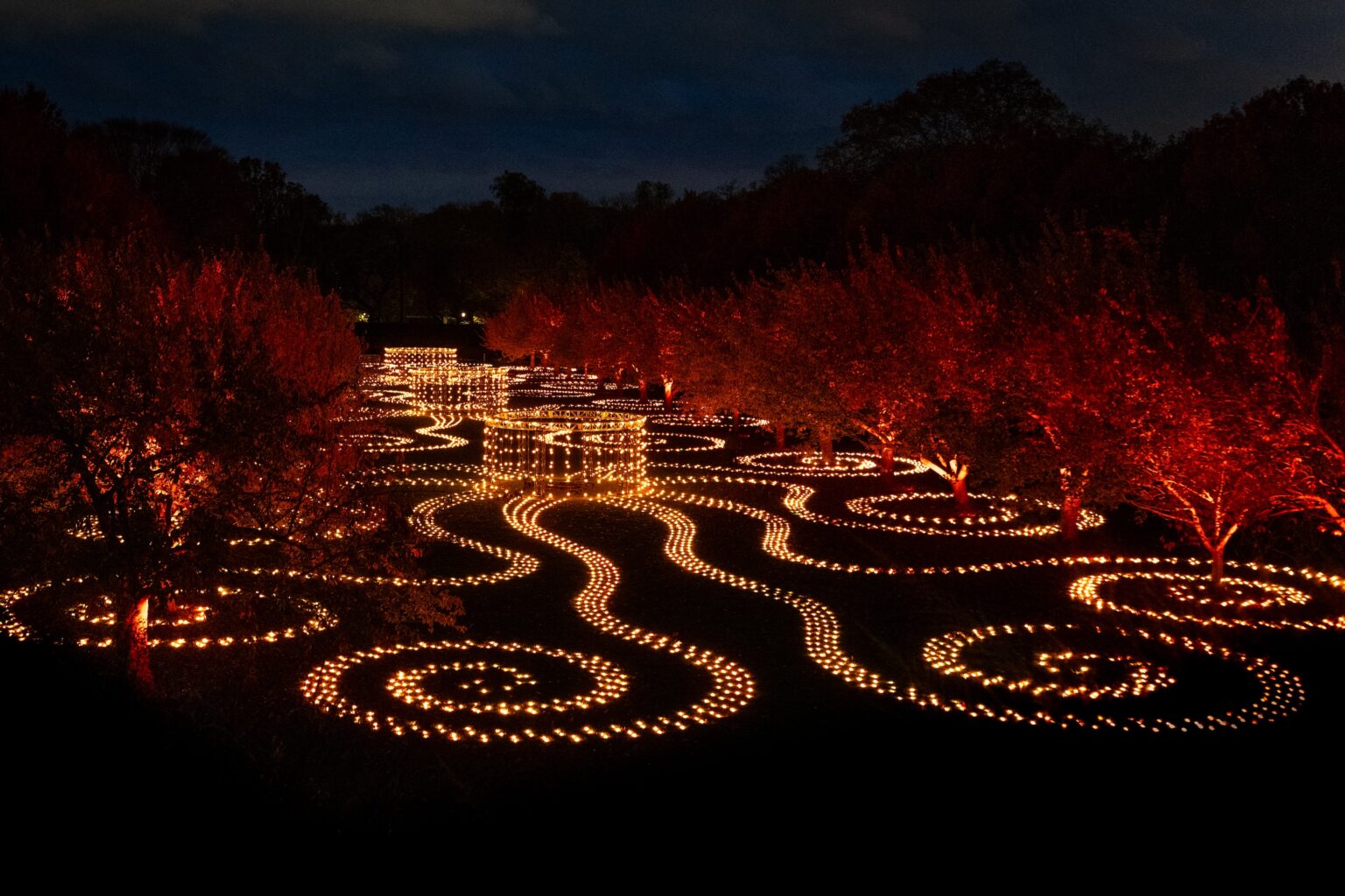 Lightscape returns to shine at Brooklyn Botanic Garden - The Brooklyn ...